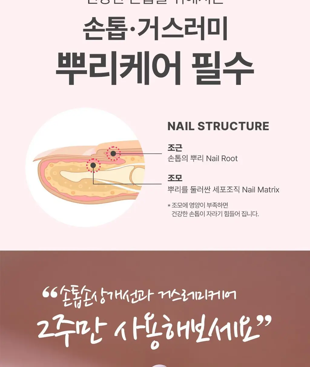 [베스트] 반디 핑크다이아 뿌리세럼 17ml 상세페이지 8